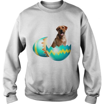 Dog Easter Cute Labrador Egg Gift Sweater