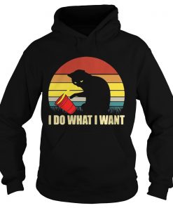 Hoodie Cat I do what I want sunset shirt