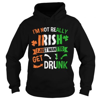 Im not really Irish I just want to drunk Hoodie