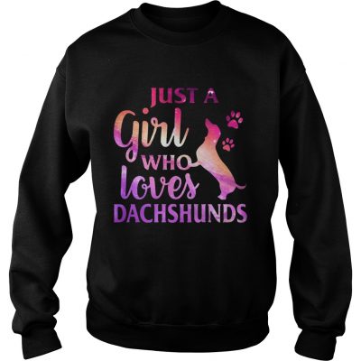 Just A Girl Who Loves Dachshund Colorful Gift Sweater