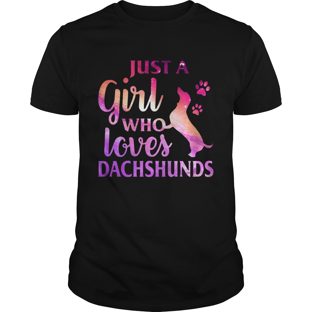 Just A Girl Who Loves Dachshund Colorful Gift tShirt