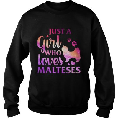 Just A Girl Who Loves Maltese Colorful Gift Sweater