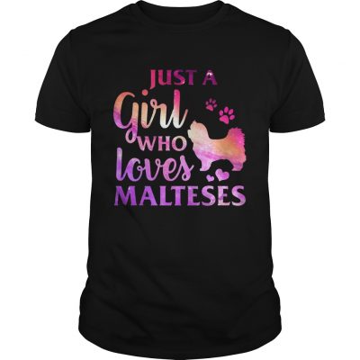Just A Girl Who Loves Maltese Colorful Gift Unisex Shirt