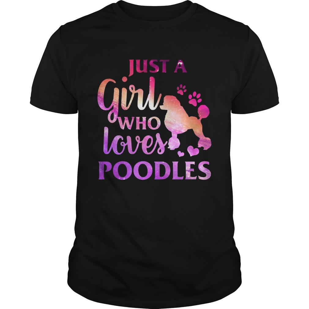 Just A Girl Who Loves Poodle Colorful Gift tShirt