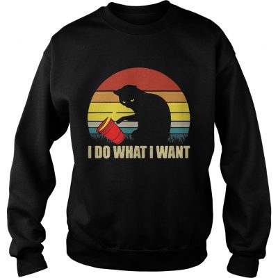 Sweater Cat I do what I want sunset shirt