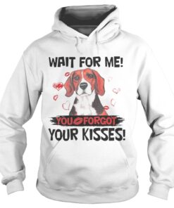 Cute Beagle Wait For Me You Forgot Your Kisses Hoodie