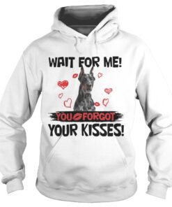 Cute Doberman Wait For Me You Forgot Your Kisses Hoodie