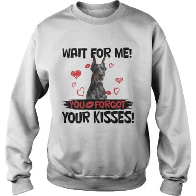Cute Doberman Wait For Me You Forgot Your Kisses Sweater