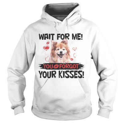 Cute Pomeranian Wait For Me You Forgot Your Kisses Hoodie