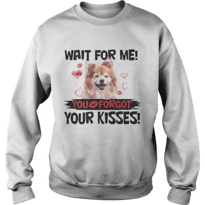 Cute Pomeranian Wait For Me You Forgot Your Kisses Sweater