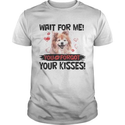 Cute Pomeranian Wait For Me You Forgot Your Kisses Unisex Shirt