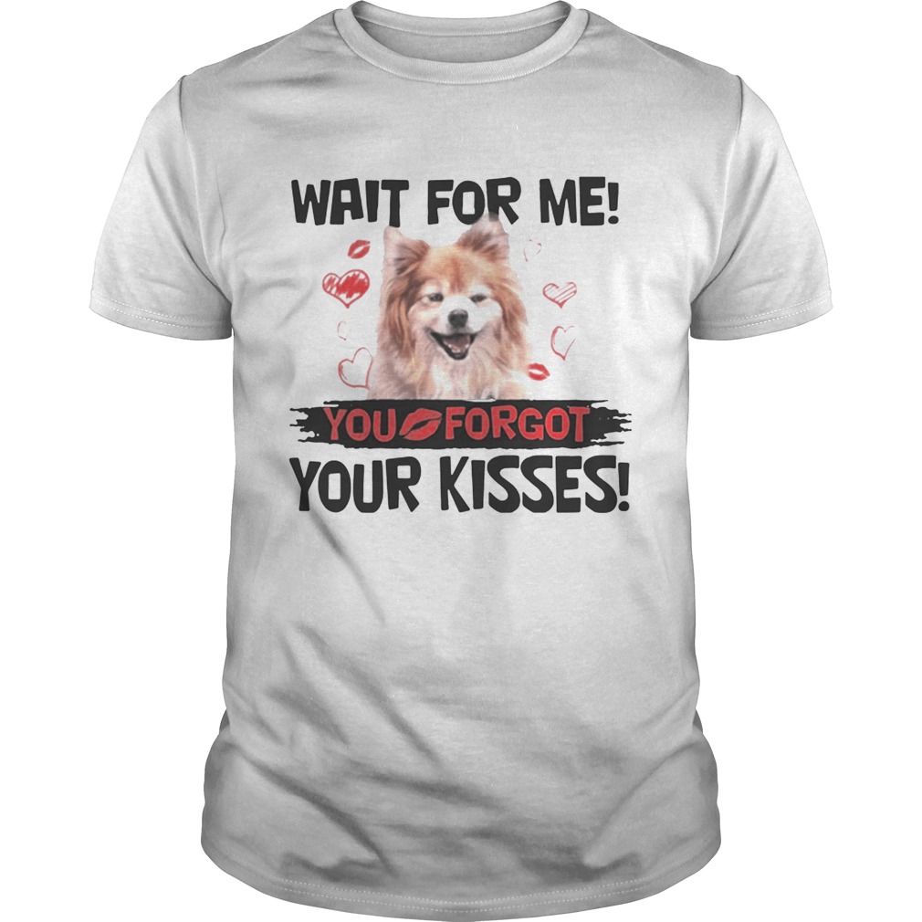 Cute Pomeranian Wait For Me You Forgot Your Kisses tShirt