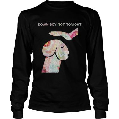 Down Boy Not Tonight Flower Dickhead Dog Noma Bar Longsleeve Tee