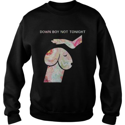 Down Boy Not Tonight Flower Dickhead Dog Noma Bar Sweater
