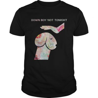 Down Boy Not Tonight Flower Dickhead Dog Noma Bar Unisex Shirt