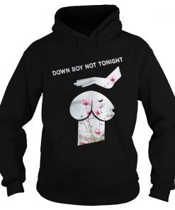 Down Boy Not Tonight Flower Dickhead Dog Noma Bar youth Hoodie