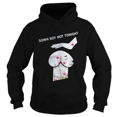 Down Boy Not Tonight Flower Dickhead Dog Noma Bar youth Hoodie