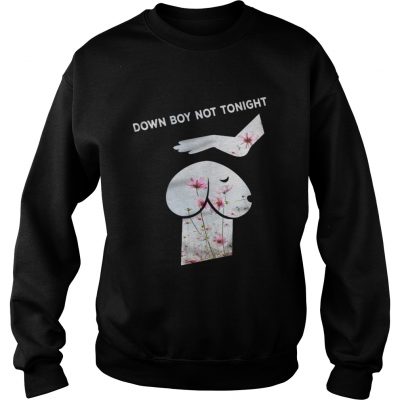 Down Boy Not Tonight Flower Dickhead Dog Noma Bar youth Sweater