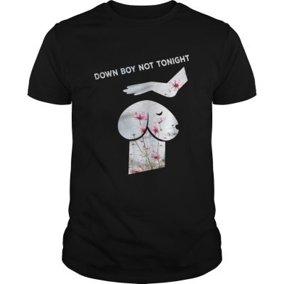 Down Boy Not Tonight Flower Dickhead Dog Noma Bar youth Unisex Shirt