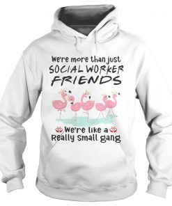 Flamingo were more than just social worker friends were like a really small gang Hoodie
