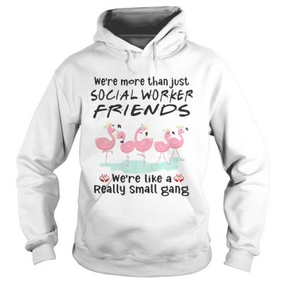 Flamingo were more than just social worker friends were like a really small gang Hoodie
