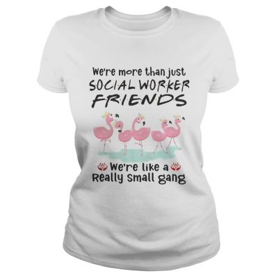 Flamingo were more than just social worker friends were like a really small gang Ladies Tee