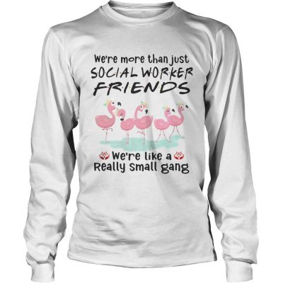 Flamingo were more than just social worker friends were like a really small gang Longsleeve Tee