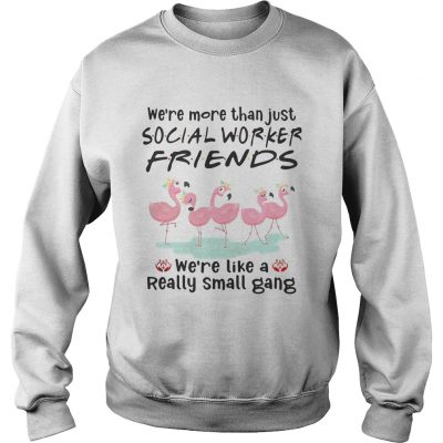 Flamingo were more than just social worker friends were like a really small gang Sweater