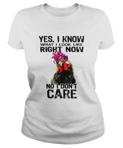 Hen yes I know what I look like right now no I dont care Ladies tee