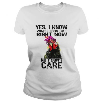 Hen yes I know what I look like right now no I dont care Ladies tee