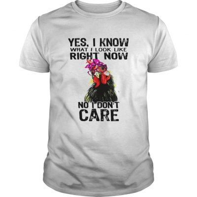 Hen yes I know what I look like right now no I dont care Unisex Shirt
