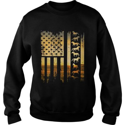 Horse flag america sunset Sweater