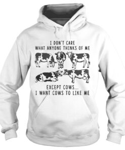 I Dont Care What Anyone Thinks Of Me Funny Gift Hoodie