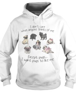 I dont care what anyone thinks of me excepts pugs I want pugs to like me Hoodie