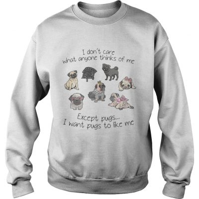 I dont care what anyone thinks of me excepts pugs I want pugs to like me Sweater