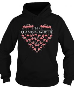 Im a flamingoaholic Hoodie
