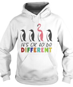 Its Ok To Be Different Autism Awareness Penguin Flamingo Hoodie