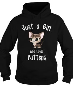 Just A Girl Who Loves Kittens Hoodie
