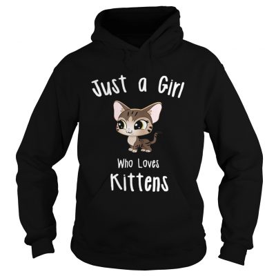 Just A Girl Who Loves Kittens Hoodie