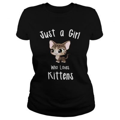 Just A Girl Who Loves Kittens Ladies Tee