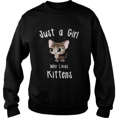 Just A Girl Who Loves Kittens Sweater