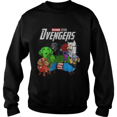 Marvel Avenger Endgame Dvengers Dachshund Sweater