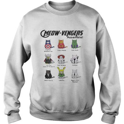 Marvel Cats Meowavengers assemble Sweater