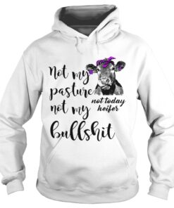 Not my pasture not my bullshit not today heifer Hoodie