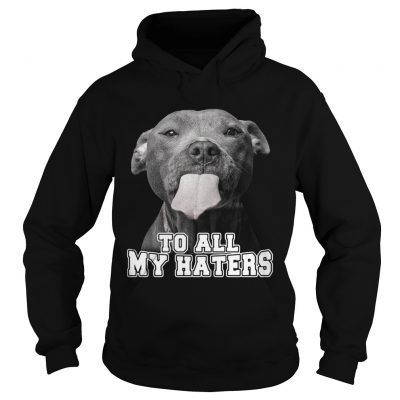 Pitbull to all my haters Hoodie