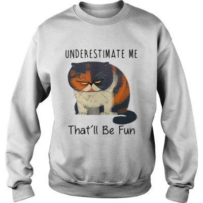 Pudge the Cat underestimate me thatll be fun Sweater