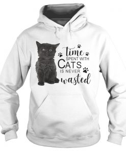 Time spent with cats is never wasted Hoodie