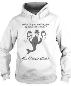 What do you call a pod of musical whales and OrcaStra Hoodie