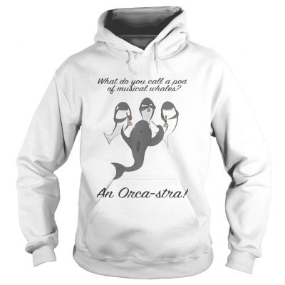 What do you call a pod of musical whales and OrcaStra Hoodie