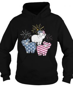 American Flag Pigs For Independence Day Funny Hoodie